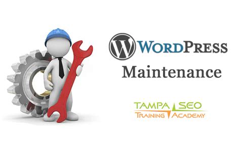 Announcing Wordpress Maintenance And Support Plans