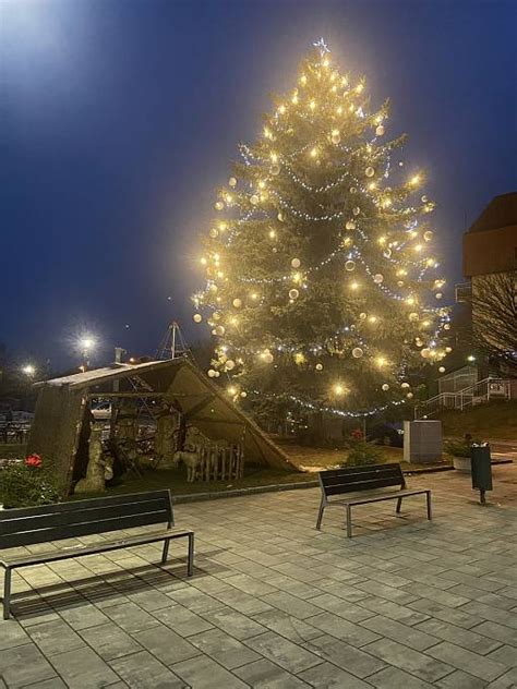 Šíp Nejkrásnější Vánoční Stromy Ve Zlínském Kraji 2021 První Pětka