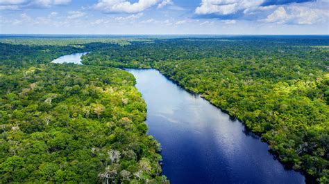 Река Амазонка Множество фото