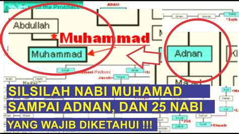 Silsilah Nabi Muhammad Saw Sampai Adnan Dan 25 Nabi Yang Wajib
