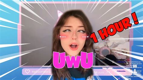 Uwu Voice 1 Hour Youtube