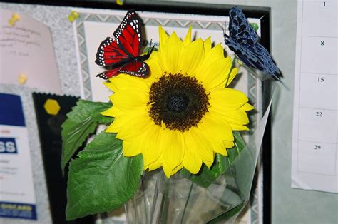 Make sure you commemorate such a landmark age in style; Birthday flowers 1 | Bright, happy 21st birthday sunflower ...