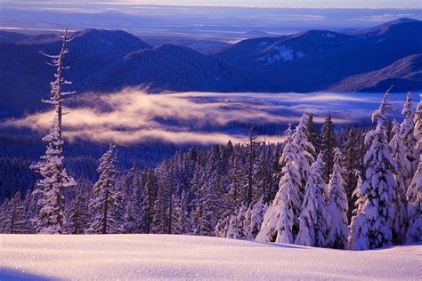 Winter Snow Cascade Range Oregon Usa Photograph By Craig Tuttle