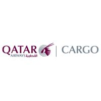 Graphic design elements (ai, eps, svg, pdf,png ). The Qatar Airways Group | Qatar Airways