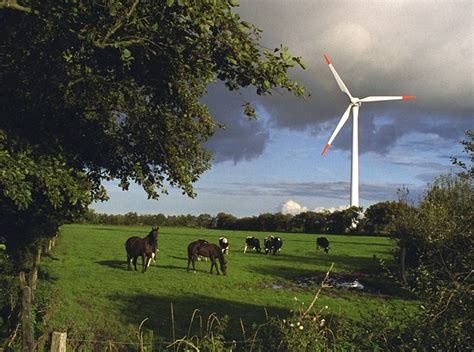 5 erneuerbare energien, die die energiewende vorantreiben. Hausbautipps24 - Strom aus Kleinwindanlagen - interessant ...