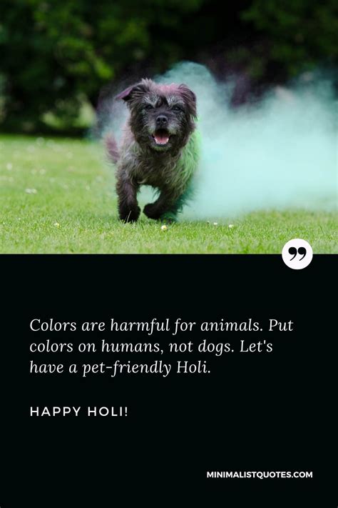 Holi What A Deep And Mysterious Language The Language Of Colors