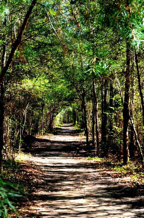 Big sandy creek unit trails; Pin on Travel