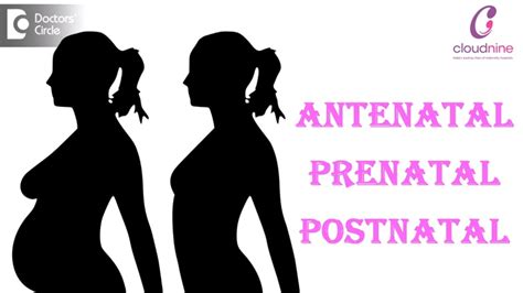 What Is The Difference Between Antenatal Prenatal And Postnatal Dr