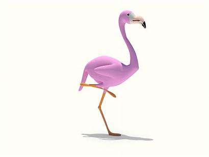 Flamingo Gifs Flamencos Dribbble Animation Flamenco Animal