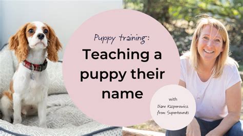 Teaching Your Puppy Their Name