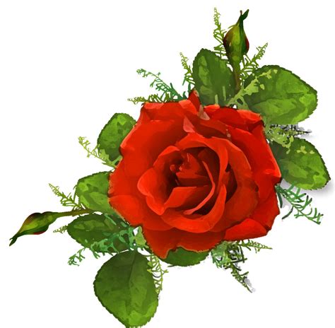 赤い花のイラスト・フリー素材／no014『赤バラ・つぼみ』