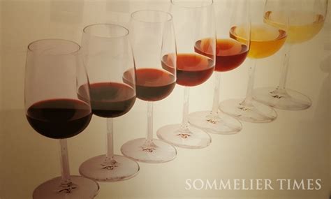 와인 기초상식 와인의 종류