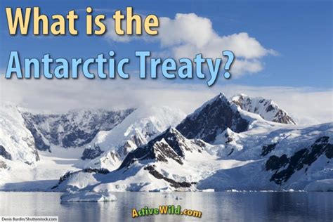 What Is The Antarctic Treaty Facts On An Important Scientific Agreement