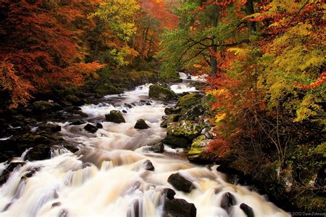 Autumn River Hd Wallpaper Background Image 1920x1281