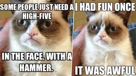 Grumpy Cat Dies At 7 Funniest Memes Of The Angry Faced Feline You Simply Cant Say No To 👍