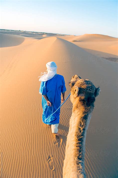 Berber Man Walking With His Camel Erg Chebbi Sahara Desert Merzouga