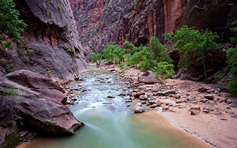Small River Stream In Zion National Park Wallpaper Nature Wallpapers