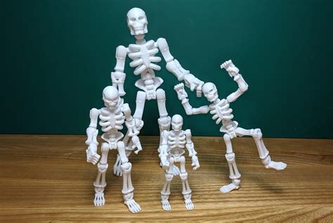 3d Printable Build Your Own Skeleton By Matthew Kaye