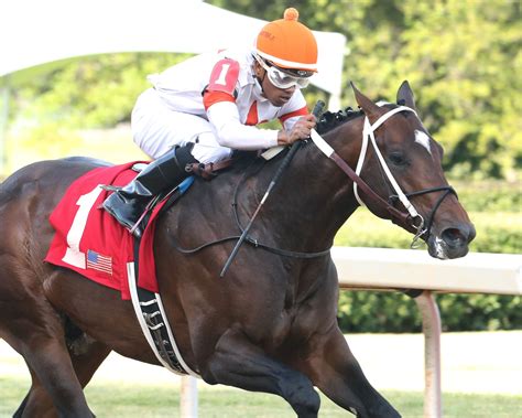 Horse Racing Nation on Twitter: "After the New Year, current 3-year