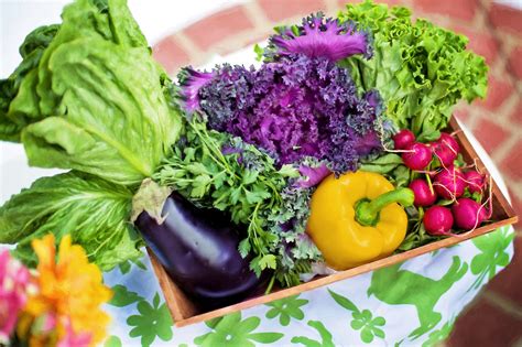 Free Images Summer Dish Meal Food Salad Green Harvest Produce Garden Lettuce