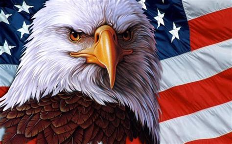 American Eagle Symbol Usa Independence Freedom 3840x216
