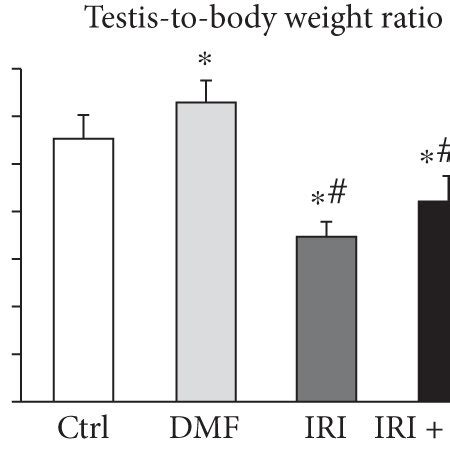 Testicular Weight And Testis To Body Weight Ratio In All Groups A