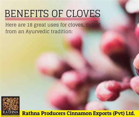 15 Benefits Of Cloves How To Use Them And Side Effects Cloves