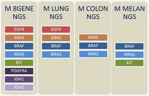 Solid Tumor Ngs Genomics Services