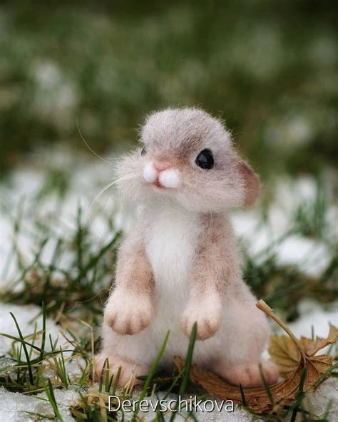 These Cute Photos Of Baby Animals Will Surely Make Your Day Baby