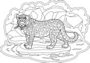 jaguars coloring pages  coloring pages