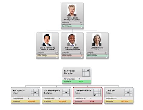 Law practice succession planning template. Succession Planning - OrgChart