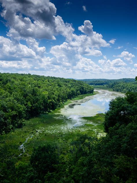 Top 10 Family-Friendly Nature Adventures in New Jersey - NJ Family