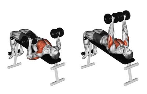 The Best Lower Chest Workout For A Better Body Gym Junkies