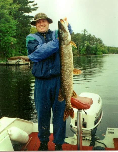 Check spelling or type a new query. Fishing is great at Shorewood Resort on the Chetek chain ...
