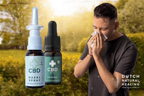 cbd oil for allergies can it help hay fever dnh