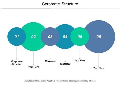 Corporate Structure Ppt Powerpoint Presentation File Inspiration Cpb