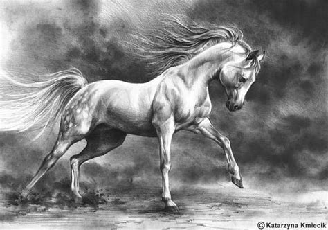 Running Horse Original Drawing Equine Art Birthday T Etsy Horse