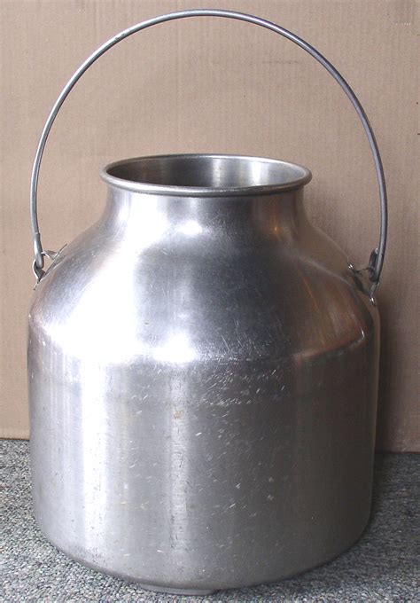 Stainless Steel Milker Milk Pail Thingery Previews Postviews And Thoughts
