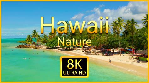 Hawaii 8k Ultra Hd Scenic Drone Relaxation Video With Calming Piano