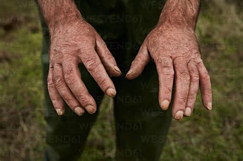 Faceless Man Showing His Old Rough Hands Of Laborer Working On Farm