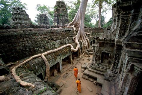 Ta Prohm The Roots Looks Like They Are Writing In Khmer Script