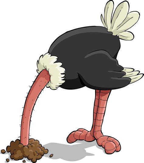 Are You Being An Ostrich Ostrich Illustration Cartoon