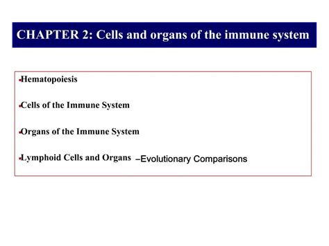 Ppt Chapter 2 Cells And Organs Of The Immune System Powerpoint