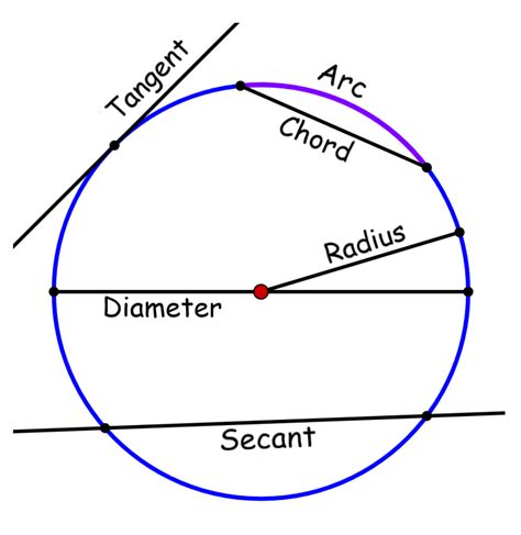 Parts of a Circumference with Diagrams - Neurochispas En