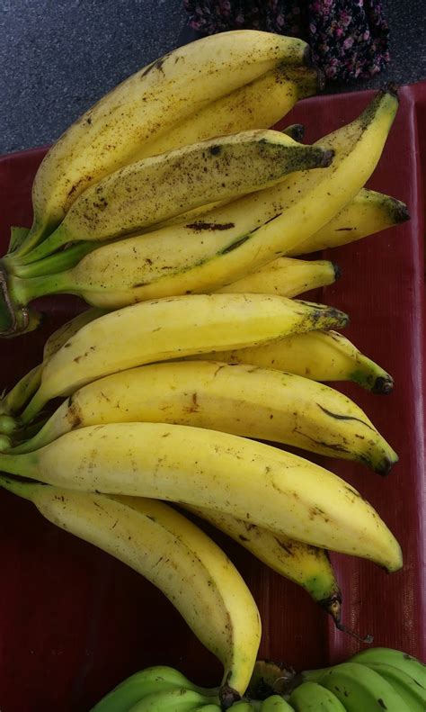 Kue pisang garing merupakan salah satu kue yang paling sering dikonsumsi dan ditemui campuran lainnya santan kental, garam, air, gula pasir, pisang uli atau pisang tanduk sedang. Warisan Petani: Tanam Pokok Pisang Tanduk Tepi Rumah