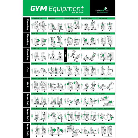 Buy Gym Equipment Exercise For Home Or Fitness Center X Illustrated Chart With