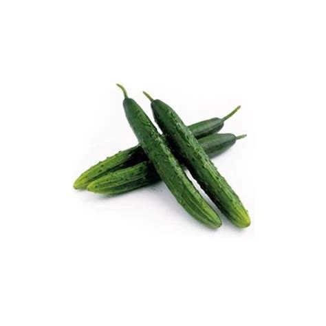 When the cucumber seedlings grow at least one leaf, then transfer the seedling in the ground or in containers. Organic Marketmore Cucumber Seeds Online @ 99p