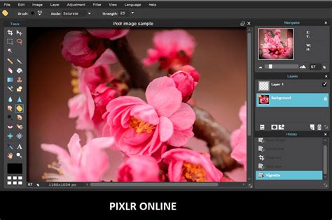 Pixlr Editor Powerful And Free Online Photo App Freemake