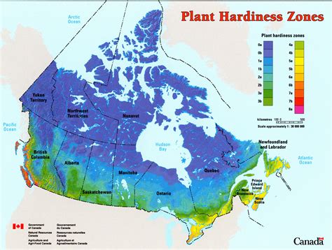 Forest Classification Natural Resources Canada