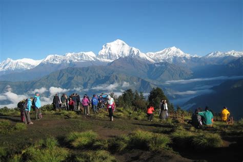 Best Of Nepal Kathmandu Pokhara Ghorepani Trek Chitwan Tour Plan Nepal